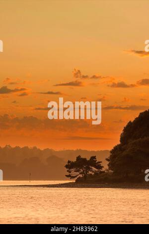 Tramonto su Brownsea Island in Poole Harbour, Inghilterra meridionale Foto Stock