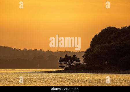 Tramonto su Brownsea Island in Poole Harbour, Inghilterra meridionale Foto Stock