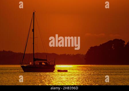 Tramonto su Brownsea Island in Poole Harbour, Inghilterra meridionale Foto Stock