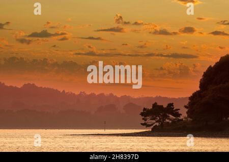 Tramonto su Brownsea Island in Poole Harbour, Inghilterra meridionale Foto Stock