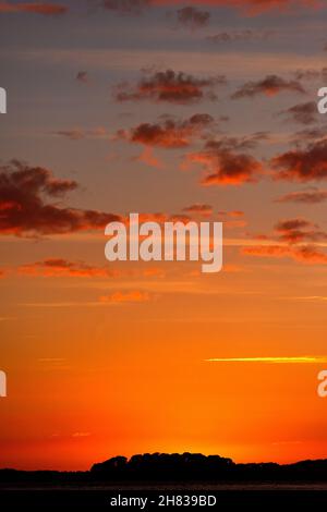 Tramonto su Brownsea Island in Poole Harbour, Inghilterra meridionale Foto Stock