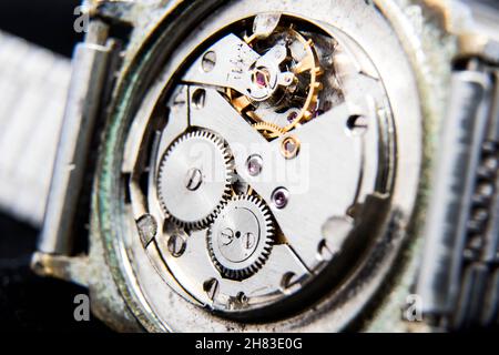 Immagine interna del orologio da polso. Foto Stock