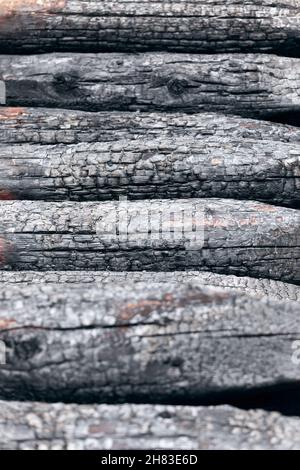 Bianchi carbonizzati impilati con superfici annerite e screpolate formano una texture di legno ruvida e monocromatica in messa a fuoco selettiva, Alto Adige, Italia. Foto Stock