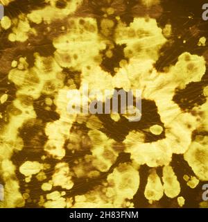 Tie Dye Spiral background. Maglia artistica gialla. Foto Stock
