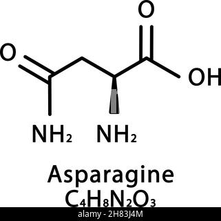 Struttura molecolare dell'asparagina. Formula chimica scheletrica di asparagina. Illustrazione del vettore della formula molecolare chimica Illustrazione Vettoriale