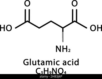 Struttura molecolare dell'acido glutammico. Glutammato di formula chimica scheletrica. Illustrazione del vettore della formula molecolare chimica Illustrazione Vettoriale