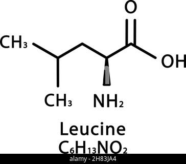Struttura molecolare della leucina. Formula chimica scheletrica della leucina. Illustrazione del vettore della formula molecolare chimica Illustrazione Vettoriale