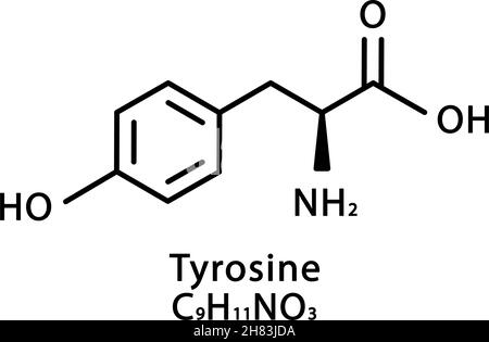 Struttura molecolare della tirosina. L-tirosina formula chimica scheletrica. Illustrazione del vettore della formula molecolare chimica Illustrazione Vettoriale