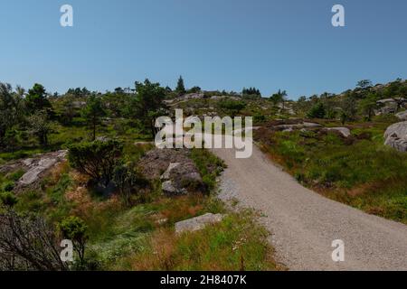 Strada stretta di ghiaia che salendo su una piccola collina Foto Stock