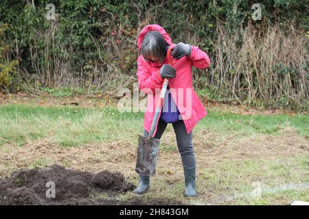 Colchester, Regno Unito. 27th Nov 2021. La gente di Colchester partecipa ad un evento di piantagione di alberi nell'ambito del Colchester Woodland and Biostiversity Project, segnando l'inizio della National Tree Week 2021. Credit: Eastern views/Alamy Live News Foto Stock