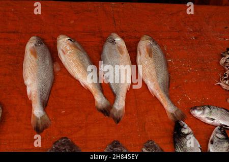 Alcuni pesci di mare, compreso il pomfret, sono stati messi in vendita Foto Stock