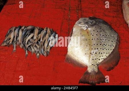 Alcuni pesci di mare, compreso il pomfret, sono stati messi in vendita Foto Stock