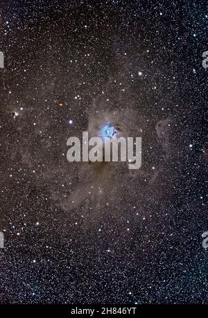 L'Iris Nebula (NGC 7023), una nebulosa a riflessione luminosa incastonata tra le nuvole di polvere giallo-marrone scuro in Cefeo. La stella rossa luminosa sulla sinistra è T Cephei. Foto Stock