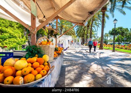 PALMA MERCATO ALL'APERTO STALLA ARANCE visitatori curiosare rustica mercato all'aperto bancarelle che mostrano prodotti locali, tra cui arance maiorchino Palma Mallorca Spagna Foto Stock