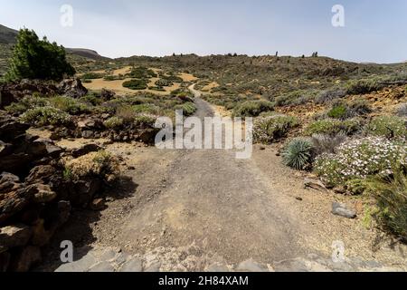 Paesaggio desertico dalla caldera di Las Canadas del vulcano Teide. Tenerife. Isole Canarie. Spagna. Foto Stock