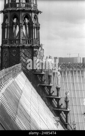 Aprile 1993 archivio fotografia in bianco e nero del tetto della Cattedrale di Notre Dame, Parigi. Foto Stock