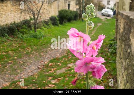 Viste intorno Stroud. Una città di Gloucester nel sud Cotswolds. Old Chapel Drive Foto Stock