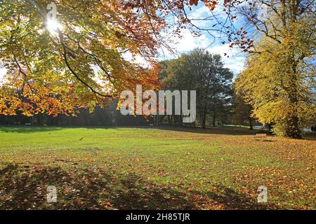 Autunno a Newstead Abbey Park, Nottinghamshire Foto Stock