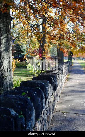 Vecchia stonewall di vecchia casa lungo il marciapiede sul Lake Avenue a Lakewood, Ohio Foto Stock
