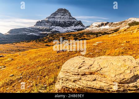 Monte Reynolds innevato e Hidden Lake Pass, Glacier National Park, Montana, USA Foto Stock