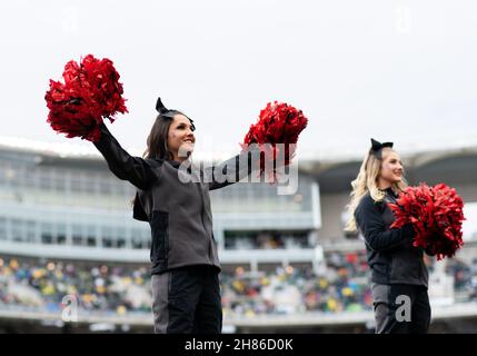 Waco, Texas, Stati Uniti. 27 novembre 2021. Texas Tech Red Raiders cheerleaders durante la seconda metà della partita di calcio NCAA tra i Texas Tech Red Raiders e Baylor Bears al McLane Stadium di Waco, Texas. Matthew Lynch/CSM/Alamy Live News Foto Stock