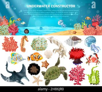 Sea LIFE animali piante e cartoni animati paesaggio icone set costruttore illustrazione vettoriale Illustrazione Vettoriale