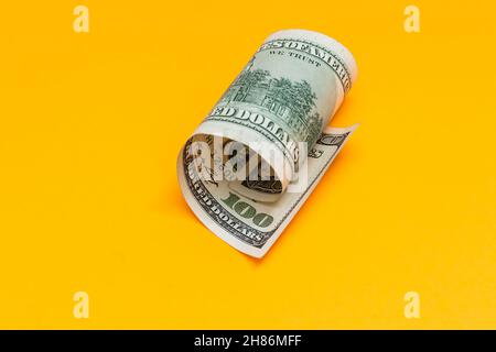 Singolo cento dollari Bill arricciato su giallo Foto Stock