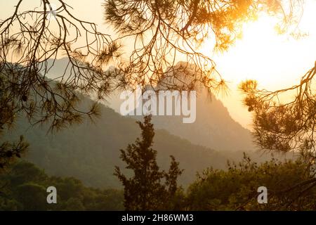 Vista panoramica delle montagne contro il cielo durante il tramonto, attraverso gli alberi. Foto Stock