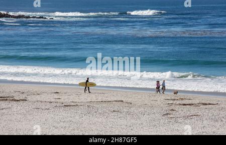 Carmel-by-the-Sea, California, USA. Vista sulla spiaggia sabbiosa fino all'Oceano Pacifico, surfisti e camminatori di cani sul bordo dell'acqua. Foto Stock