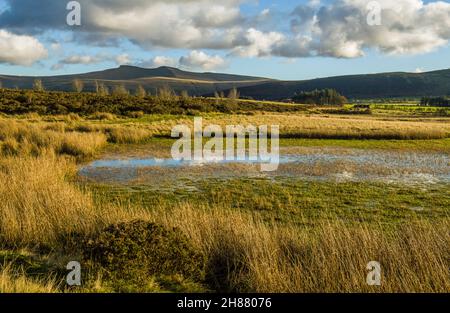 Un paesaggio tra cui Pen Y Fan e Corn Du visto da Mynydd Illtyd Common High in Brecon Beacons in autunno Foto Stock