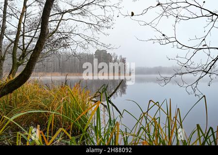 Treplin, Germania. 28 novembre 2021. La nebbia velina il paesaggio del lago Treplin nel Brandeburgo orientale. Credit: Patrick Pleul/dpa-Zentralbild/ZB/dpa/Alamy Live News Foto Stock