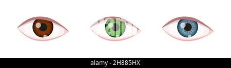 Occhi di colori diversi. Occhielli con iride marrone, verde, blu. Vista ravvicinata dell'organo visivo umano. Illustrazione vettoriale realistica. Illustrazione Vettoriale