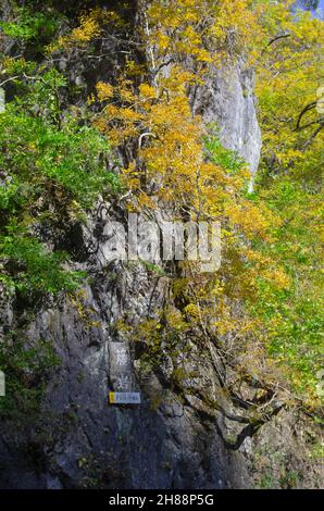 Geibikei Gorge coperto in bellissimi colori autunnali, Prefettura di Iwate, Giappone Foto Stock