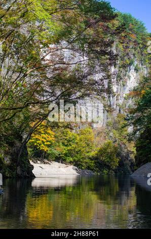 Geibikei Gorge coperto in bellissimi colori autunnali, Prefettura di Iwate, Giappone Foto Stock