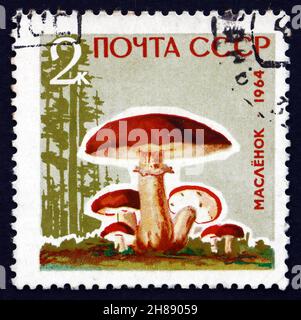 RUSSIA - CIRCA 1964: Un francobollo stampato in Russia mostra Ixocomus luteus, Mushroom, circa 1964 Foto Stock