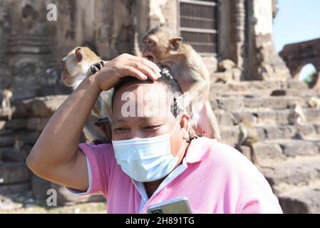 Lop Buri, Tailandia. 28 novembre 2021. Thailandia - le scimmie salgono sul corpo dei turisti. Al 33 ° 'Wheelchair Monkey Party 2021' a Phra Prang Sam Yot nella città di Lopburi, Domenica 28 novembre 2021. (Foto di Teera Noisakran/Pacific Press) Credit: Pacific Press Media Production Corp./Alamy Live News Foto Stock