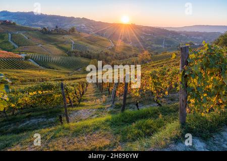 Bellissimo tramonto con colline e vigneti durante la stagione autunnale vicino al villaggio di Serralunga d'Alba. Nelle Langhe, Cuneo, Piemonte, Italia. Foto Stock