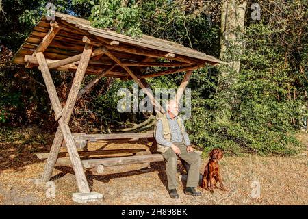 Un escursionista anziano con il suo giovane puntatore irlandese Setter fa una pausa in un luogo di riposo nel Parco Nazionale di Müritz. Foto Stock