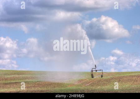 A causa del cambiamento climatico, gli agricoltori tedeschi devono affrontare sempre più periodi di siccità più lunghi. Foto Stock
