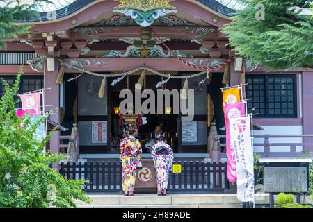 Le donne giapponesi vestite con kimono offrono preghiere al Santuario di Imado Jinja, un santuario Shinto dedicato a trovare amore ad Asakusa, Tokyo, Giappone. Il tempio è noto per le figurine “Maneki Neko” o “beckoning Lucky Cat”. Foto Stock