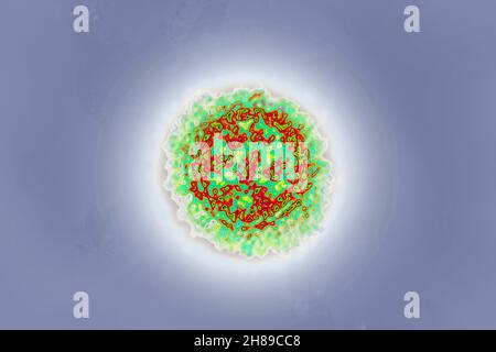 Coronavirus Foto Stock
