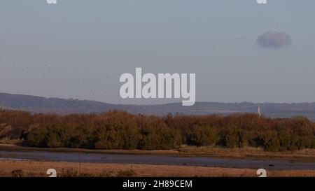 Ruscello d'acqua visto nella Riserva Naturale di Pagham Harbour con la bassa marea. Foto Stock