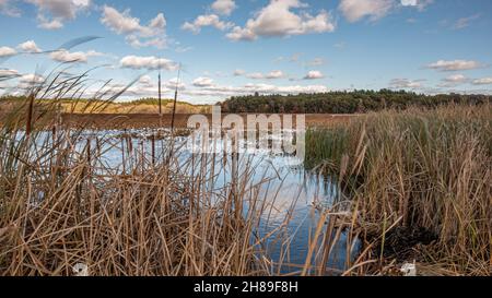 Great Meadows National Wildlife Refuge a Concord, Massachusetts Foto Stock