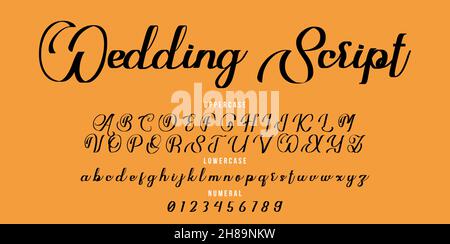 Font wedding scritto a mano. Carattere pennello illustrazione vettoriale isolato sfondo Illustrazione Vettoriale