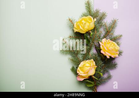 Sfondo cornice verde Natale, pino da ramo e rose gialle, top wiew, spazio per il testo, primo piano. Foto Stock