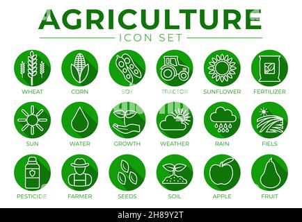 Gruppo di icone del profilo agricolo di frumento, mais, soia, trattore, girasole, Fertilizzante, sole, acqua, crescita, tempo, Pioggia, campi, pesticida, agricoltore, Illustrazione Vettoriale