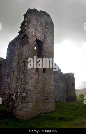 Morton Castle, Nithsdale, Dumfries & Galloway, Scozia Foto Stock