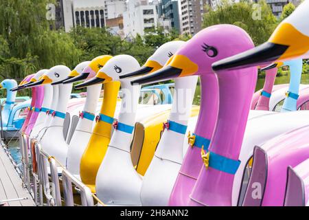 Barche colorate di cigno in fila presso il laghetto delle barche sullo Stagno di Shinobazu nel Parco di Ueno, Tokyo, Giappone. Foto Stock