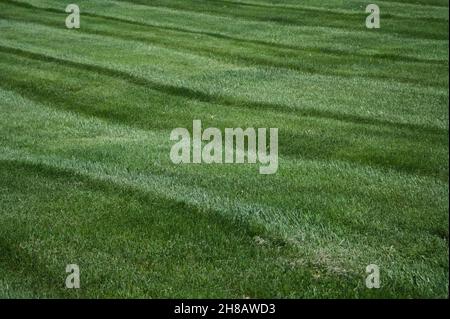 Le linee rette di un prato appena tosato sono distorte da dolci colline ondulate. Foto Stock