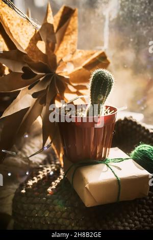 Stella di Natale scolpita a mano su un davanzale vicino ad un cactus in un POT. Natale di spreco accogliente zero. Sciarpe in maglia morbida e regalo confezionato a mano sul Foto Stock